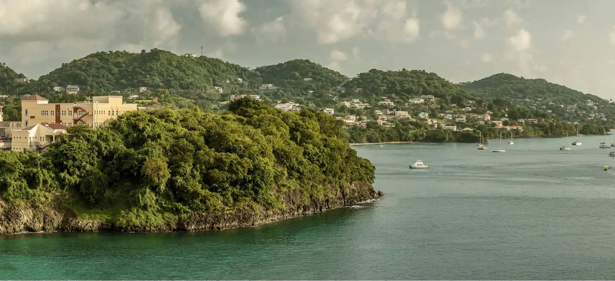 Grenada Passport Background