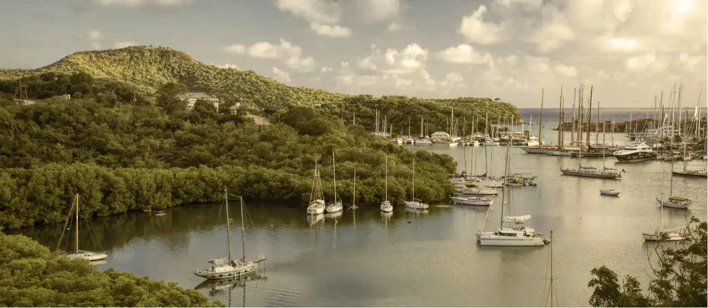 Antigua & Barbuda Landscape